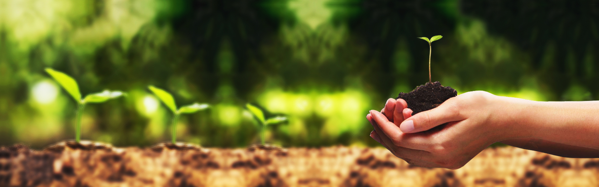 以愛為鑰，開啟關懷ADHD